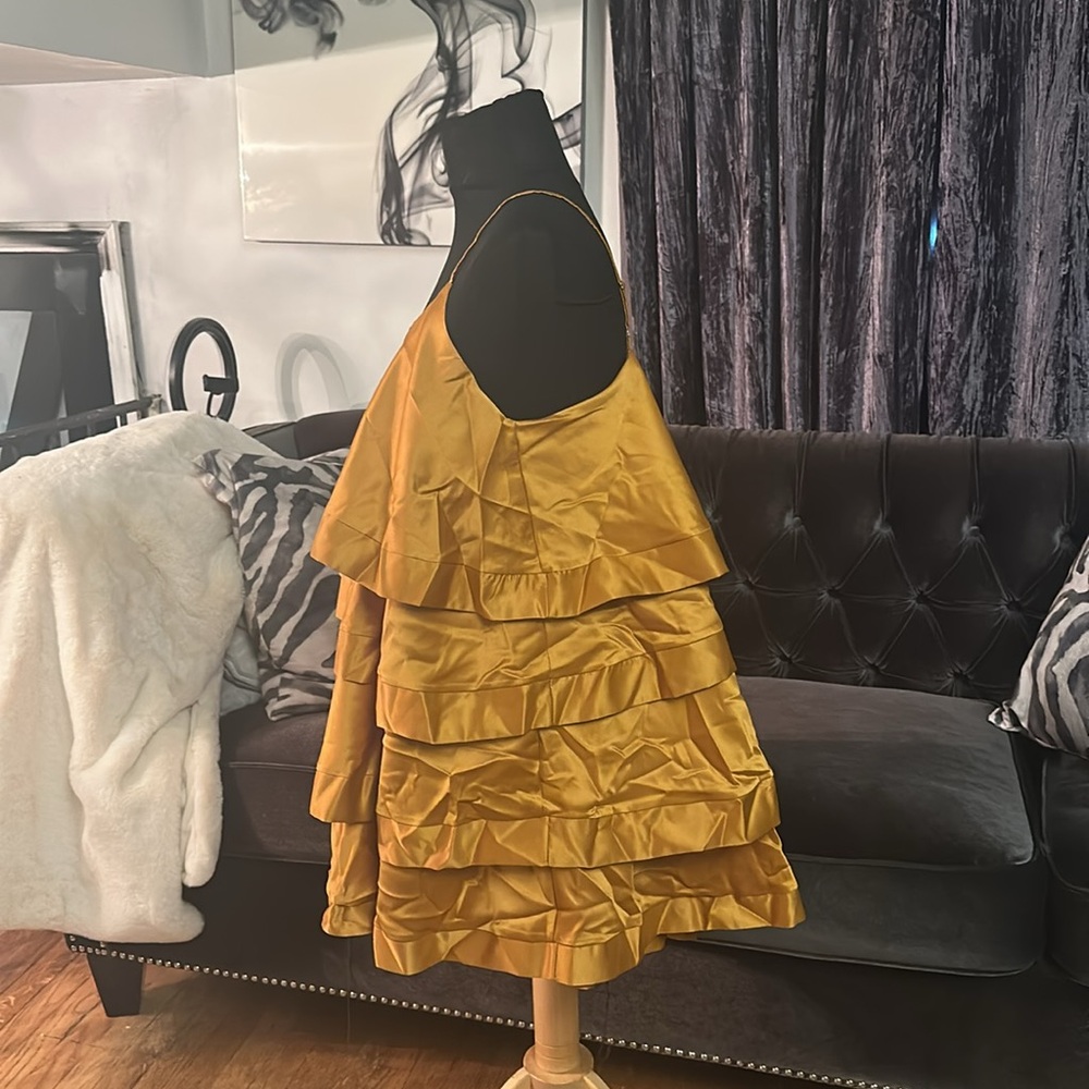 Gold Layered Ruffle Dress - Picture 3 of 4